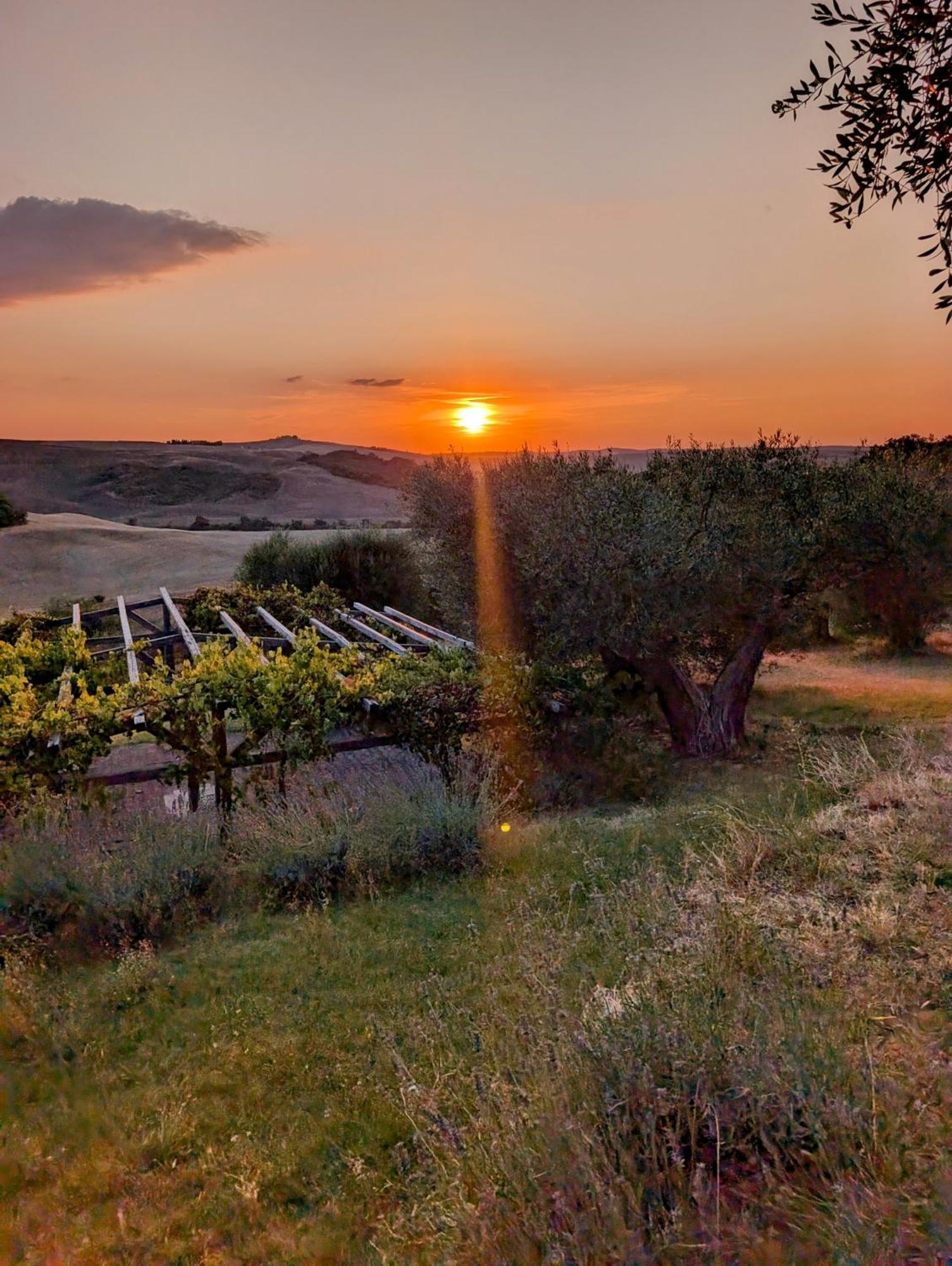 Podere Spedalone Pienza Zewnętrze zdjęcie